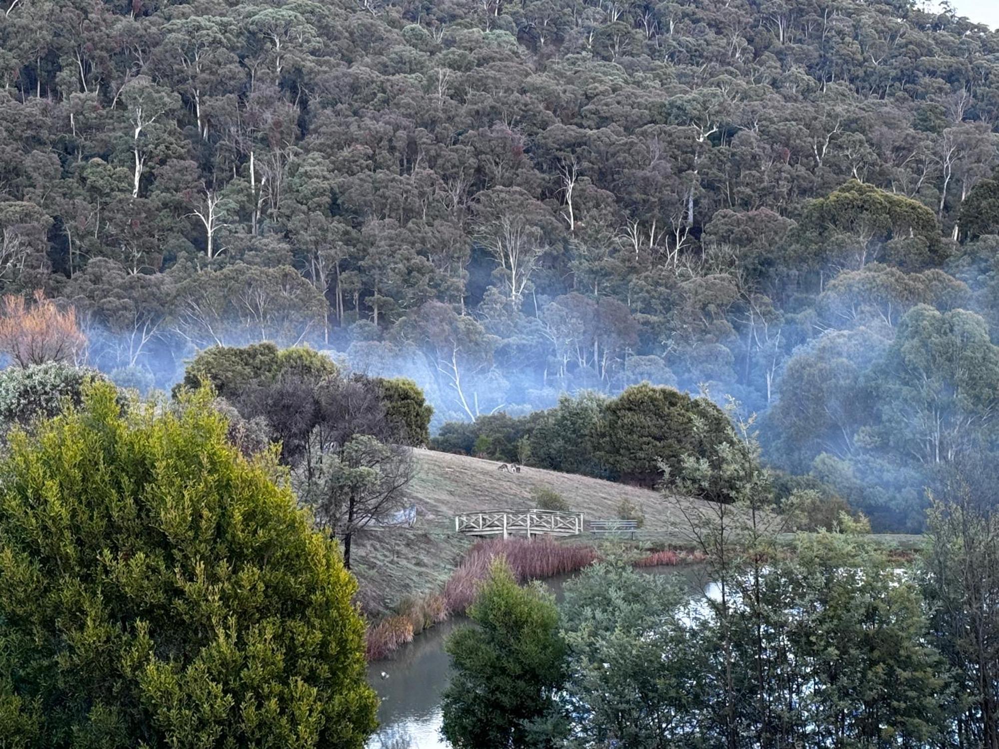 Mt Buller Stayz Merrijig Esterno foto